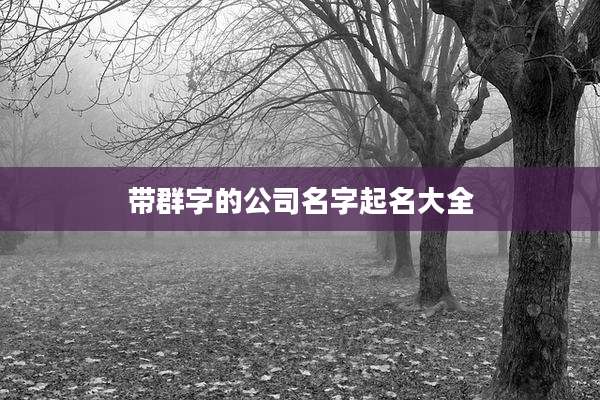 带群字的公司名字起名大全