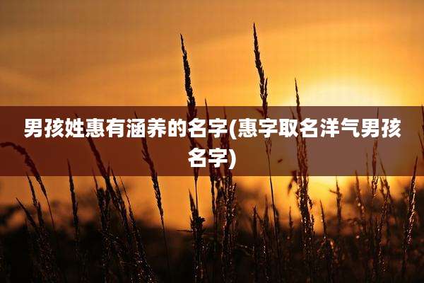 男孩姓惠有涵养的名字(惠字取名洋气男孩名字)