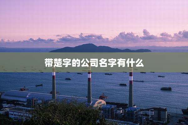 带楚字的公司名字有什么