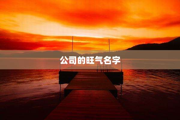 公司的旺气名字