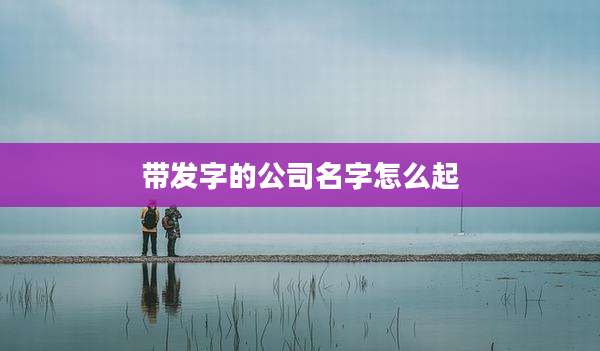 带发字的公司名字怎么起