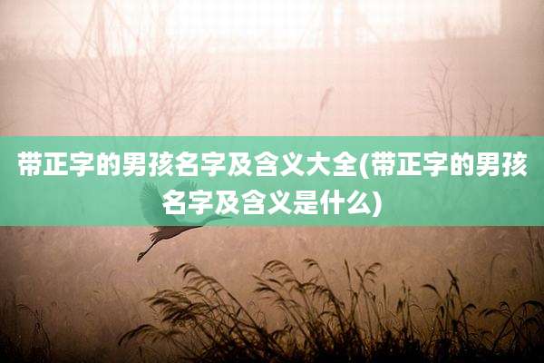 带正字的男孩名字及含义大全(带正字的男孩名字及含义是什么)