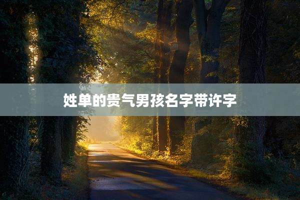 姓单的贵气男孩名字带许字