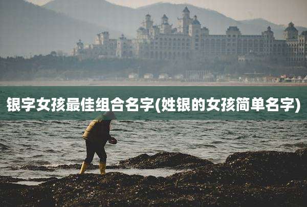 银字女孩最佳组合名字(姓银的女孩简单名字)
