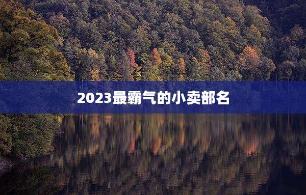 2023最霸气的小卖部名