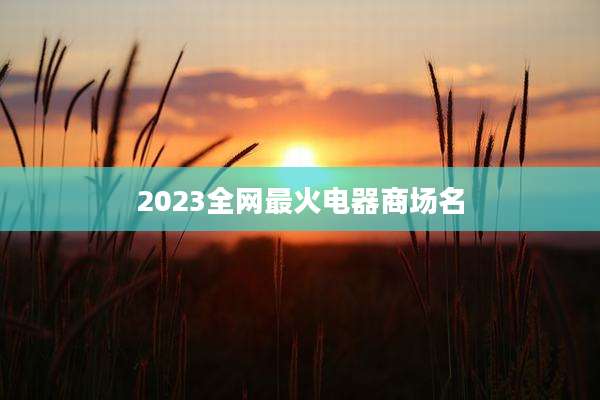 2023全网最火电器商场名