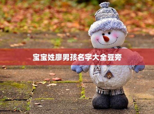 宝宝姓廖男孩名字大全豆旁