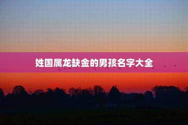姓国属龙缺金的男孩名字大全