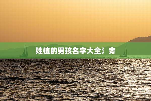 姓植的男孩名字大全氵旁