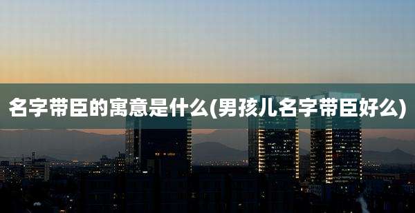 名字带臣的寓意是什么(男孩儿名字带臣好么)