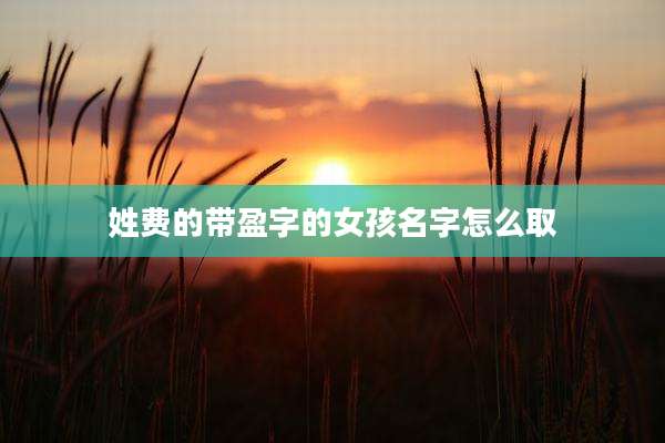 姓费的带盈字的女孩名字怎么取