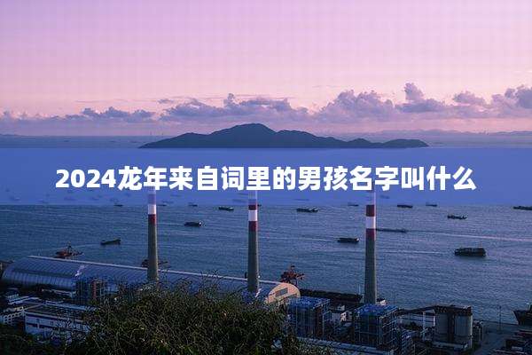 2024龙年来自词里的男孩名字叫什么
