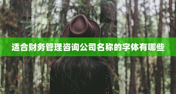 适合财务管理咨询公司名称的字体有哪些
