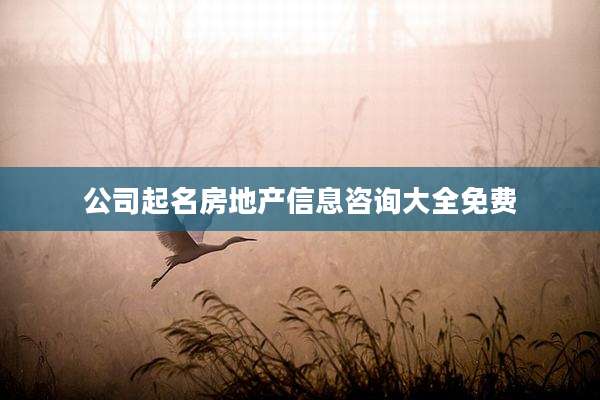 公司起名房地产信息咨询大全免费
