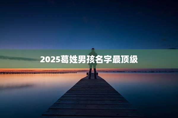 2025葛姓男孩名字最顶级