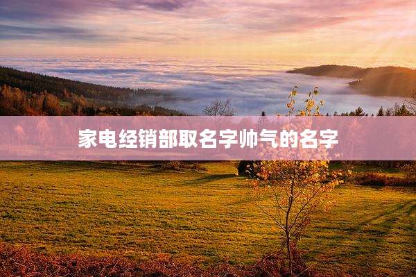 家电经销部取名字帅气的名字