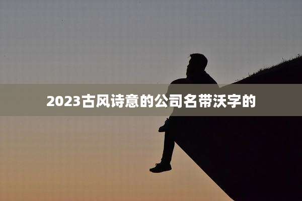 2023古风诗意的公司名带沃字的