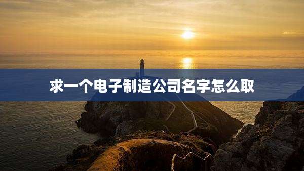 求一个电子制造公司名字怎么取