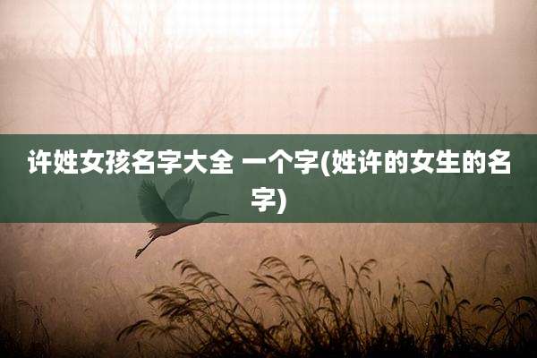 许姓女孩名字大全 一个字(姓许的女生的名字)