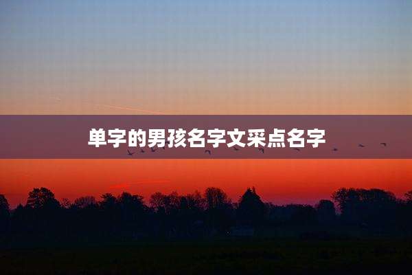单字的男孩名字文采点名字