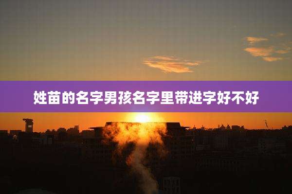 姓苗的名字男孩名字里带进字好不好