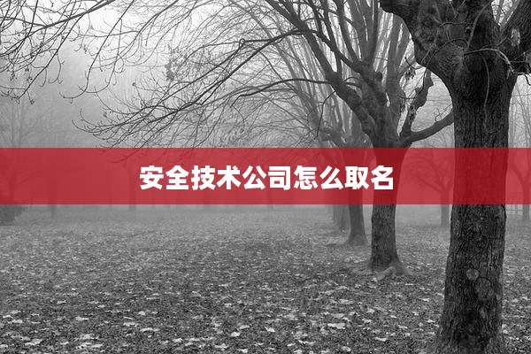 安全技术公司怎么取名