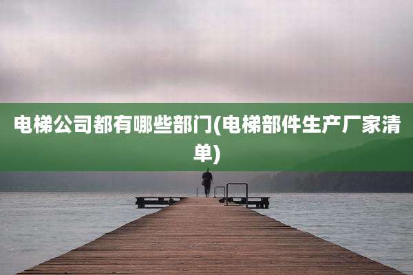 电梯公司都有哪些部门(电梯部件生产厂家清单)