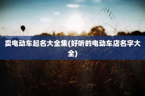 卖电动车起名大全集(好听的电动车店名字大全)