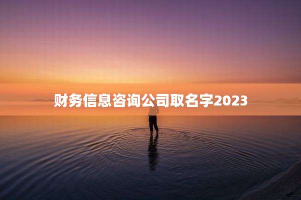 财务信息咨询公司取名字2023