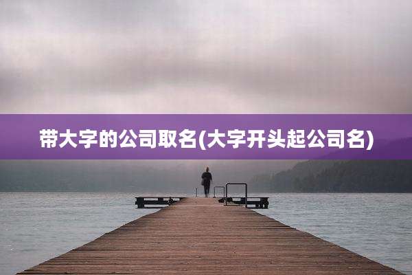 带大字的公司取名(大字开头起公司名)