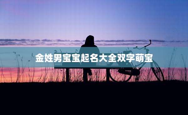 金姓男宝宝起名大全双字萌宝