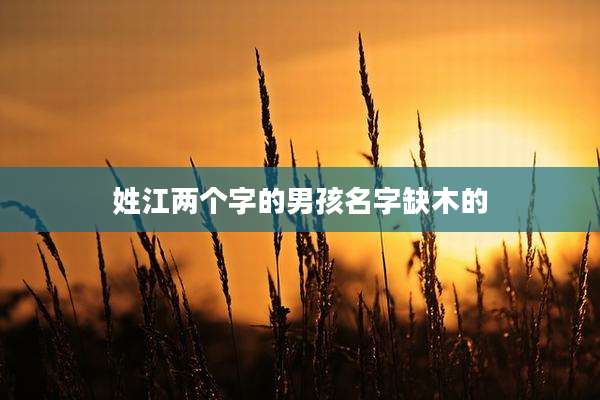 姓江两个字的男孩名字缺木的