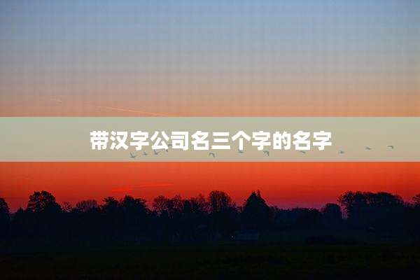 带汉字公司名三个字的名字