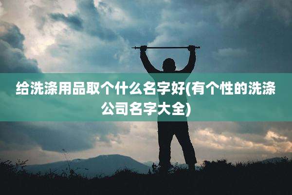 给洗涤用品取个什么名字好(有个性的洗涤公司名字大全)