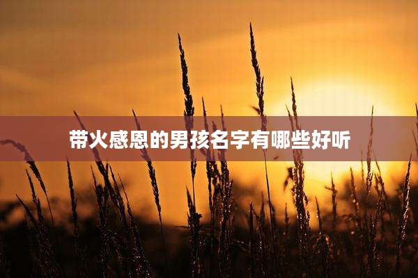 带火感恩的男孩名字有哪些好听