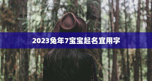 2023兔年7宝宝起名宜用字