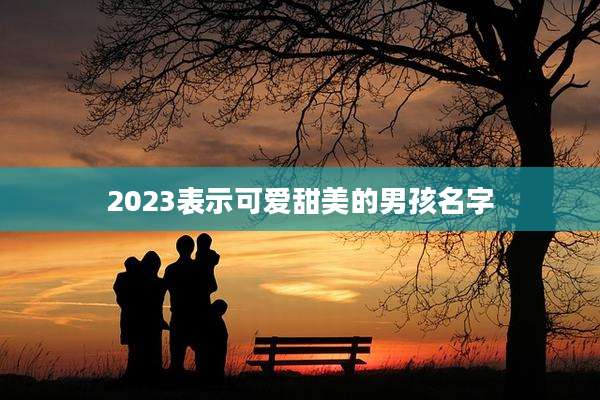 2023表示可爱甜美的男孩名字