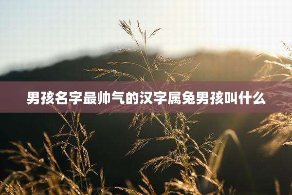 男孩名字最帅气的汉字属兔男孩叫什么