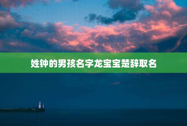 姓钟的男孩名字龙宝宝楚辞取名