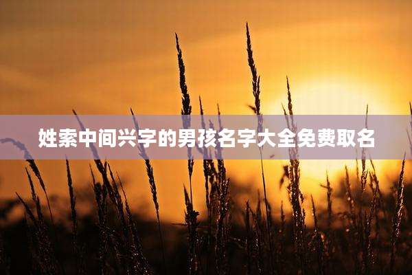 姓索中间兴字的男孩名字大全免费取名