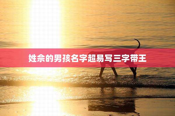 姓佘的男孩名字超易写三字带王