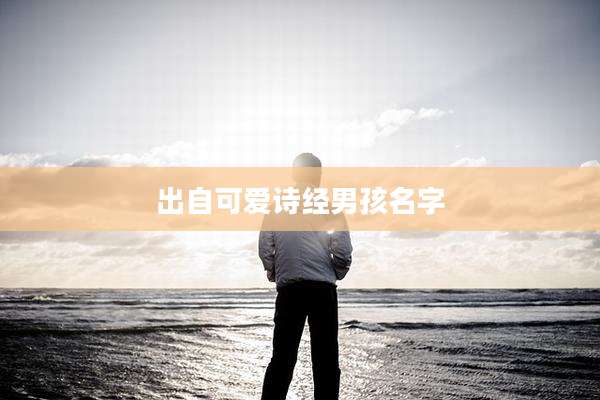 出自可爱诗经男孩名字