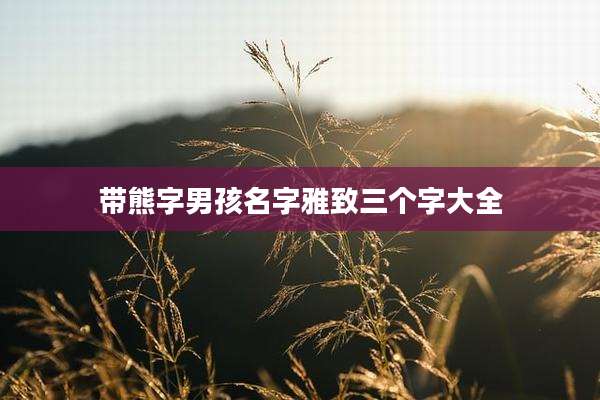 带熊字男孩名字雅致三个字大全