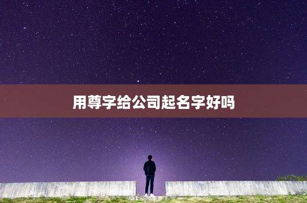 用尊字给公司起名字好吗