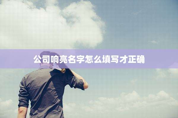 公司响亮名字怎么填写才正确