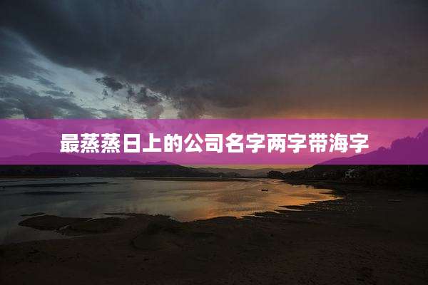 最蒸蒸日上的公司名字两字带海字