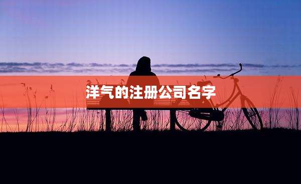 洋气的注册公司名字