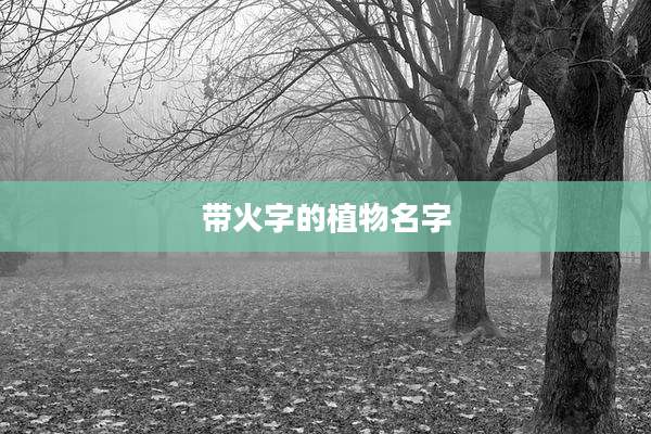 带火字的植物名字