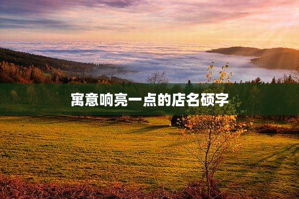 寓意响亮一点的店名硕字
