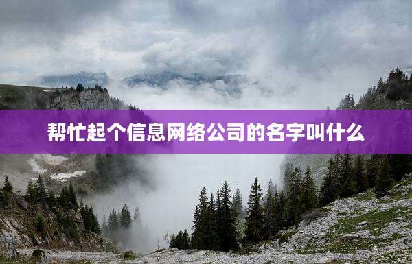 帮忙起个信息网络公司的名字叫什么